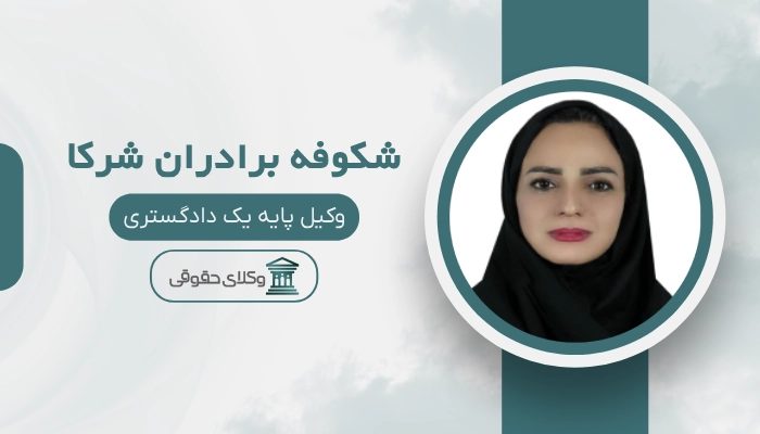 شکوفه برادران شرکا بهترین وکیل یزد