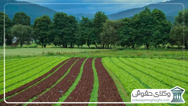 مراحل تغییر کاربری اراضی کشاورزی
