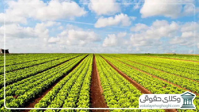 راهکار فرار از تغییر کاربری اراضی کشاورزی