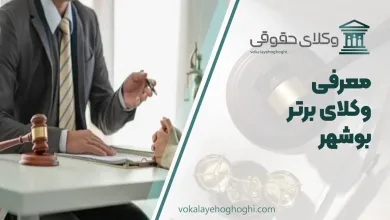معرفی 10 تا از بهترین وکیل بوشهر 🥇【آپدیت جدید】⚖️