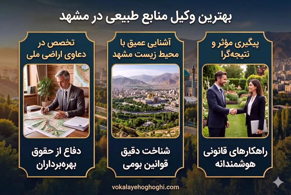 معرفی بهترین وکیل منابع طبیعی در مشهد