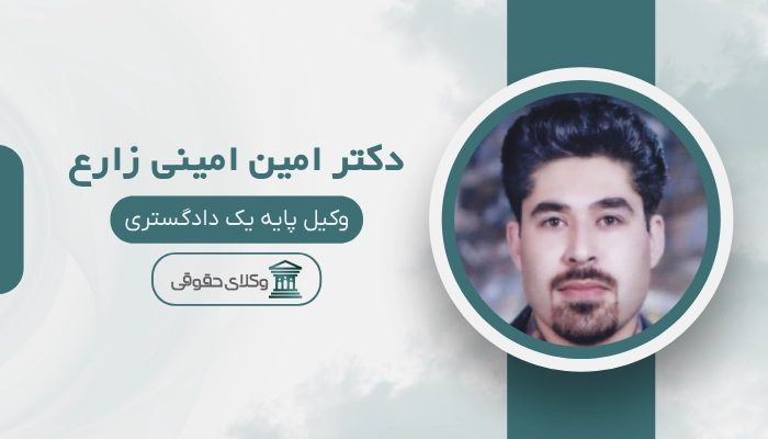 دکتر امین امینی زارع بهترین وکیل بین المللی