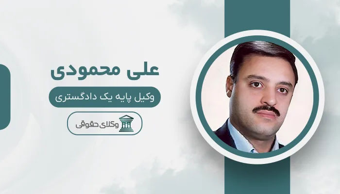 علی محمودی - بهترین وکیل سهند