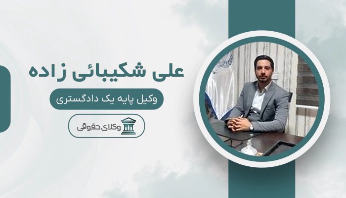 علی شکیبائی زاده - بهترین وکیل دعاوی کار، کارگر و کارفرما در تهران