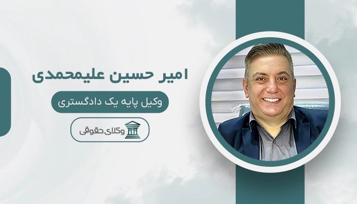 امیر حسین علیمحمدی- بهترین وکیل طلاق در غرب تهران