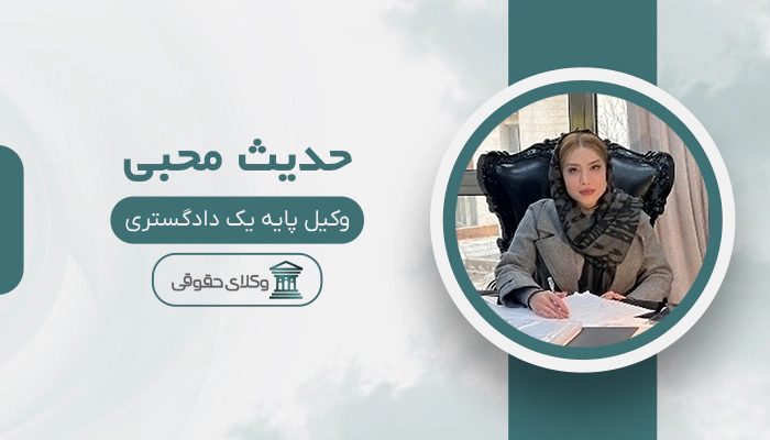 حدیث محبی - بهترین وکیل مالیاتی در تهران