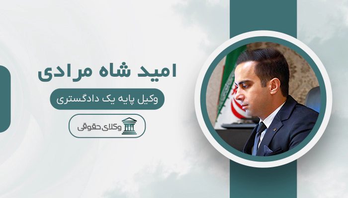 امید شاه مرادی - بهترین وکیل ثبت احوال در تهران