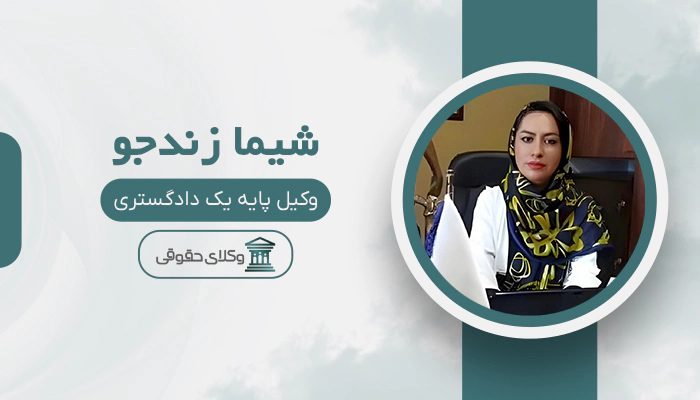 شیما زندجو - بهترین وکیل بیمه در تهران