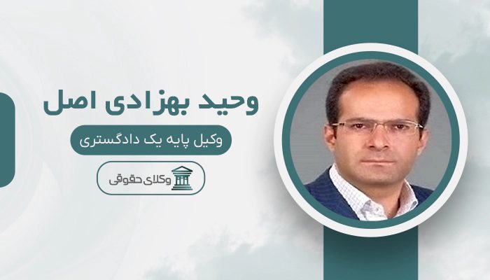 وحید بهزادی اصل - بهترین وکیل دیوان عدالت اداری در تهران