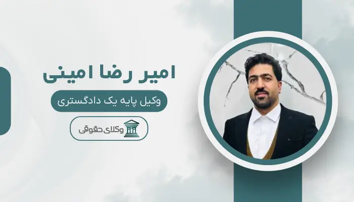 امیر رضا امینی بهترین وکیل قتل در زنجان
