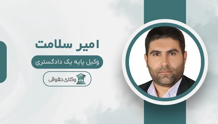 امیر سلامت - بهترین وکیل باغستان