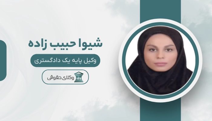شیوا حبیب زاده بهترین وکیل کیفری در شهریار
