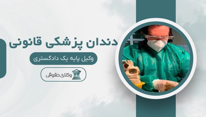 دندان پزشکی قانونی بیرجند