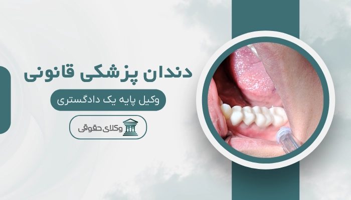 دندان پزشکی قانونی قزوین