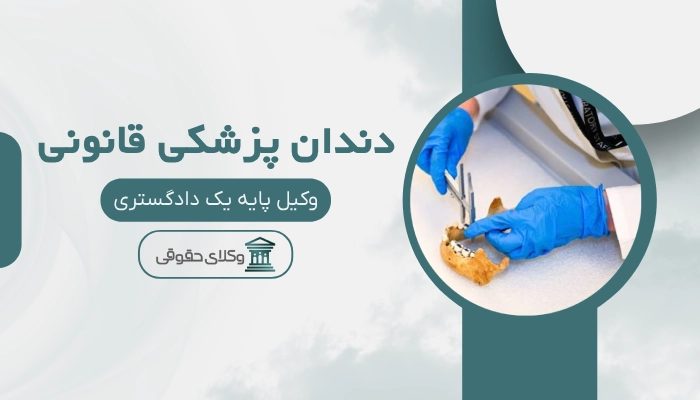 دندان پزشکی قانونی سنندج