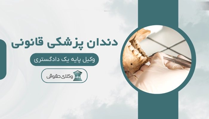 دندان پزشکی قانونی ساری