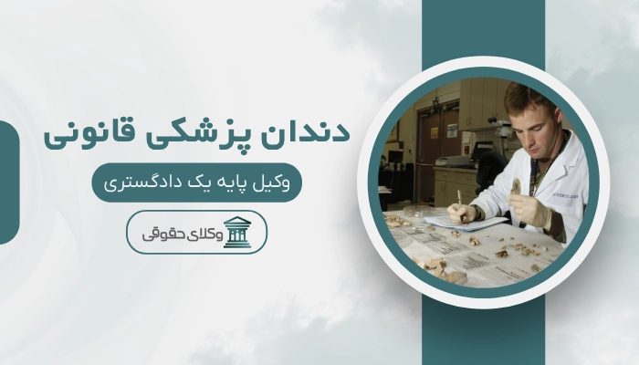 دندان پزشکی قانونی شیراز