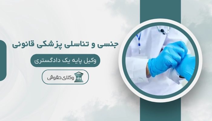 جنسی و تناسلی پزشکی قانونی قزوین